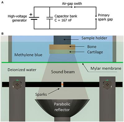 Delivery of Agents Into Articular Cartilage With Electric Spark-Induced Sound Waves